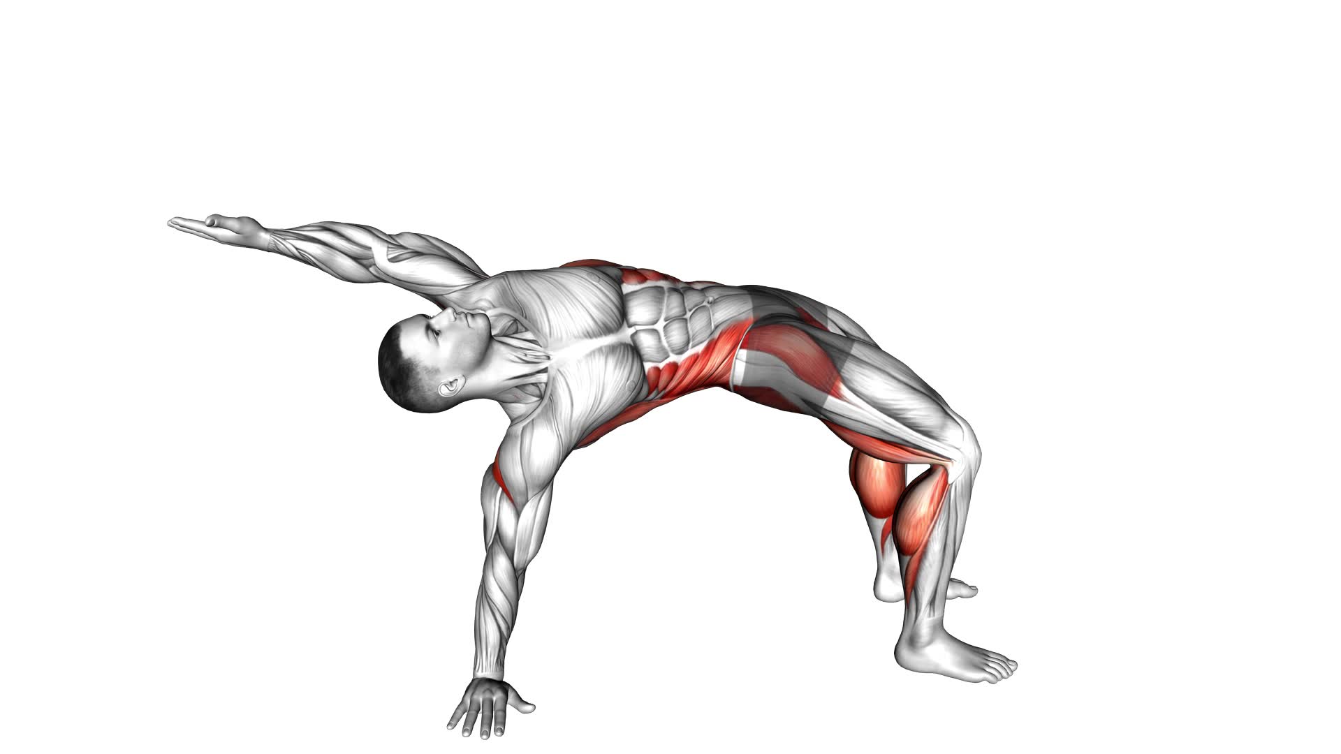 Thoracic Bridge: Ultimate Exercise Guide & Tips