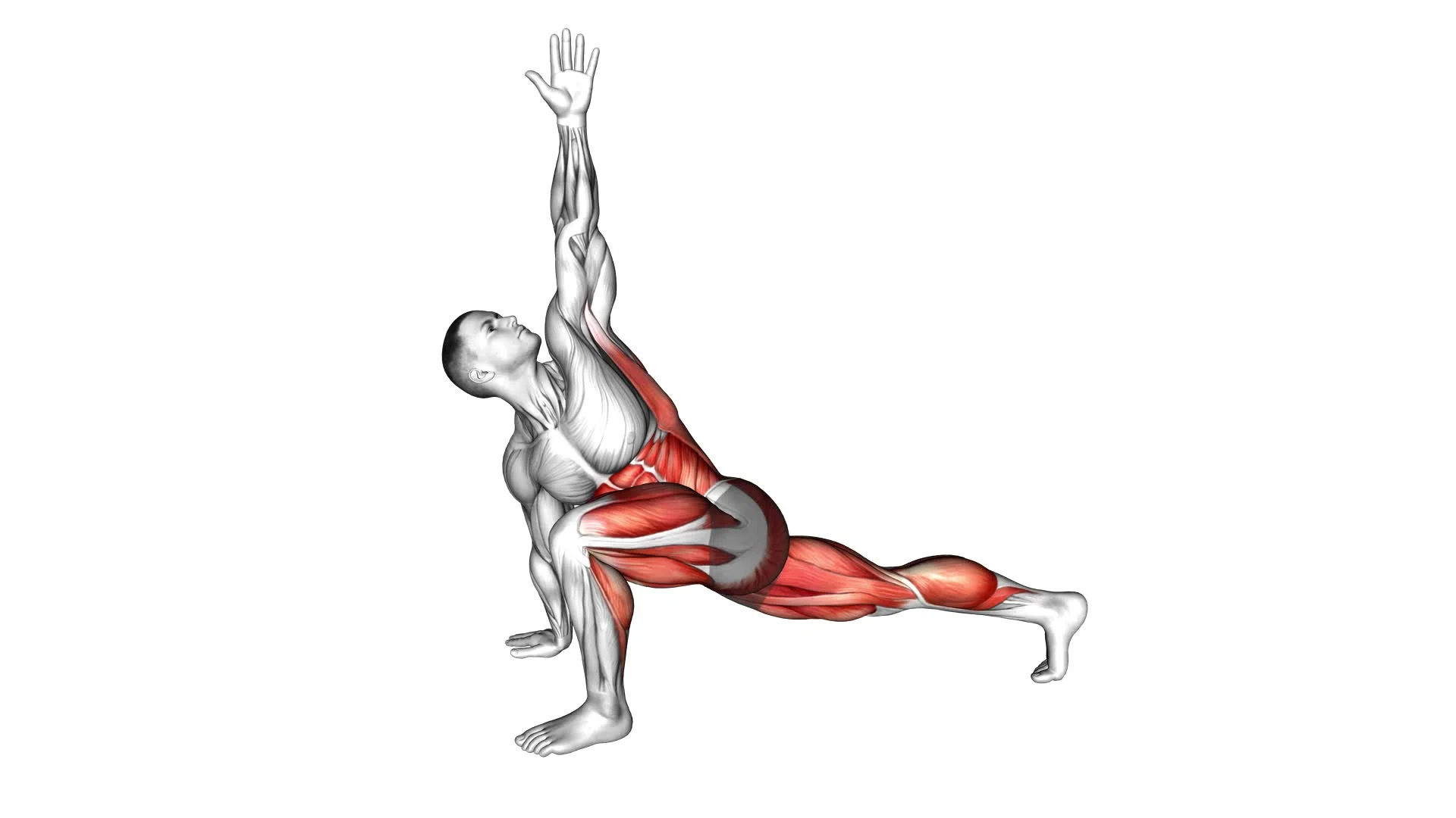 10 Effective Quadruped Exercises To Strengthen Your Core And Improve 10 Effective Quadruped Exercises To Strengthen Your Core And Improve