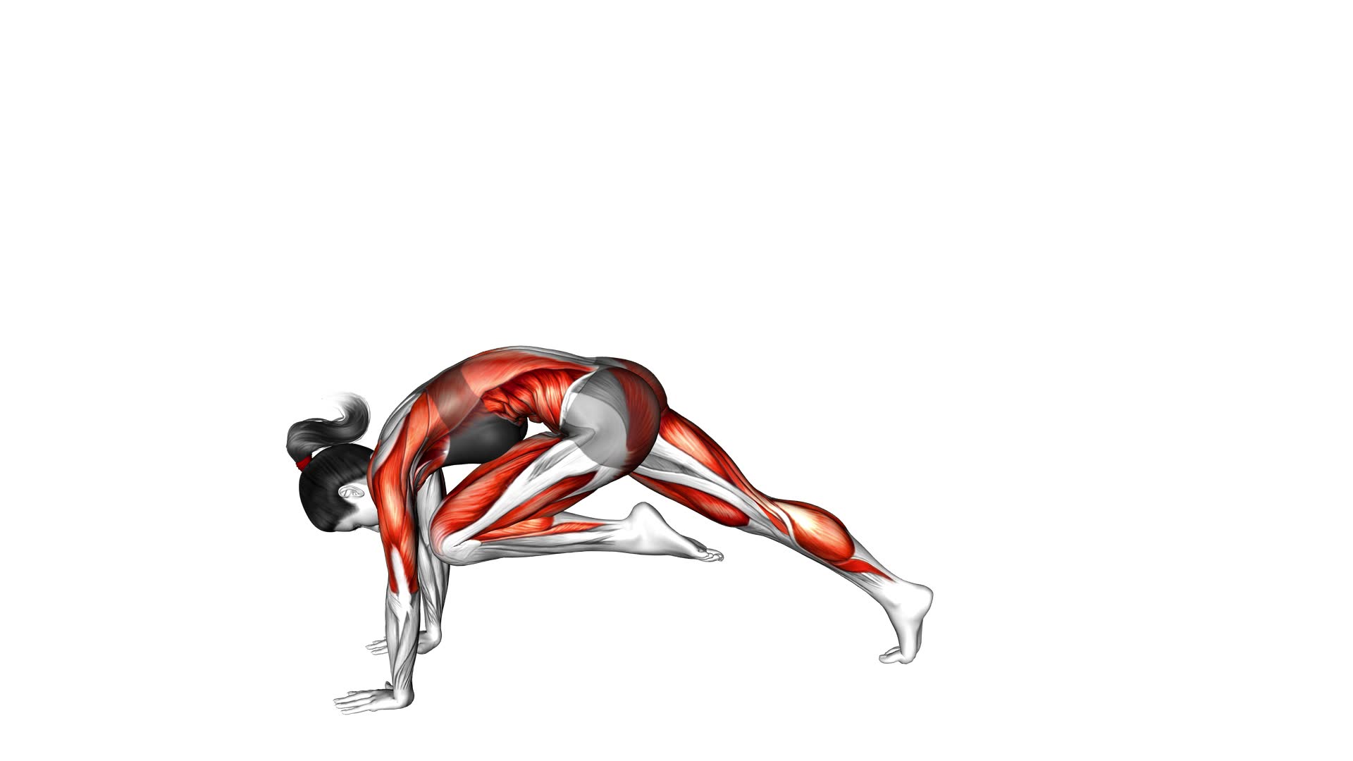 Tiger Curl Pose (female) - Video Exercise Guide & Tips