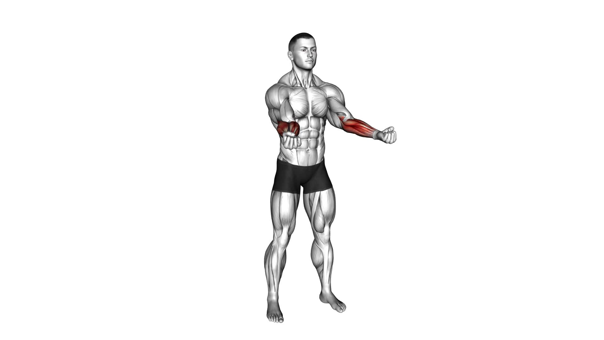 Tight Fist Rotation (male) - Video Exercise Guide & Tips