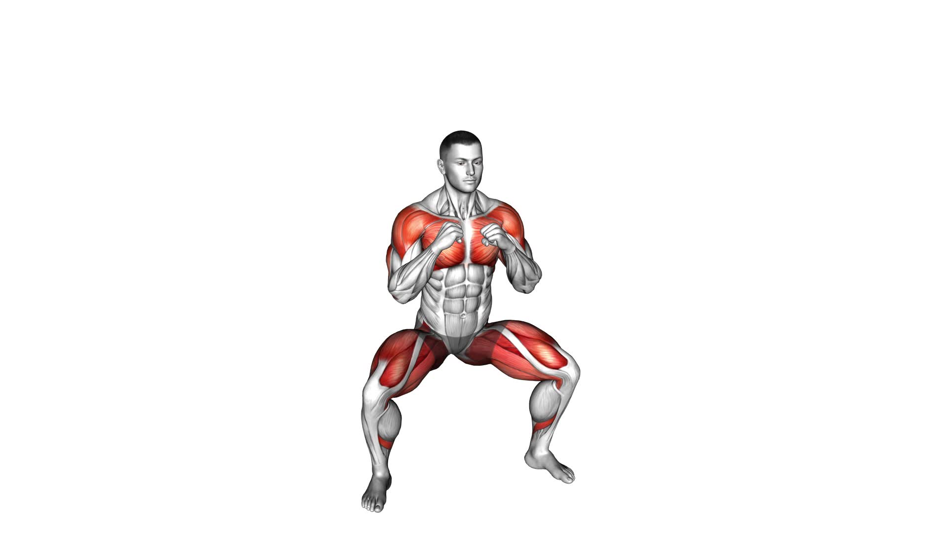 Top Bottom Punch Squat (male) - Video Exercise Guide & Tips