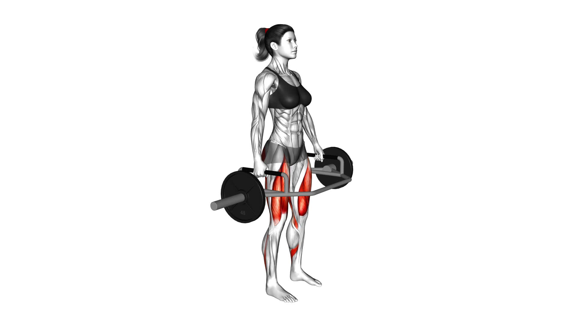 Ultimate Trap Bar Deadlift Guide For Women - Video & Tips