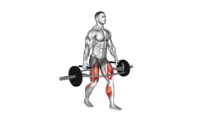 Trap Bar Farmers Carry - Video Exercise Guide & Tips
