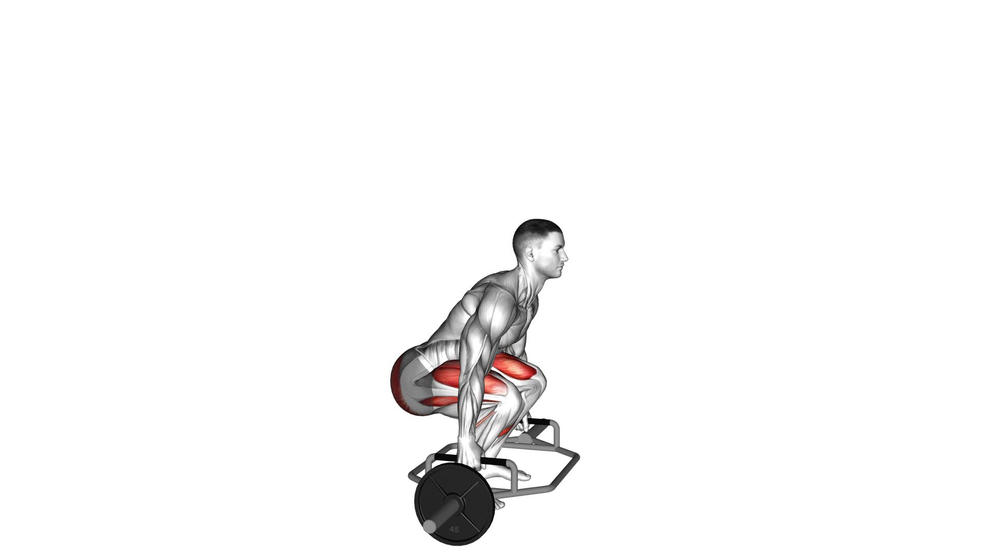 Trap Bar Squat - Video Exercise Guide & Tips