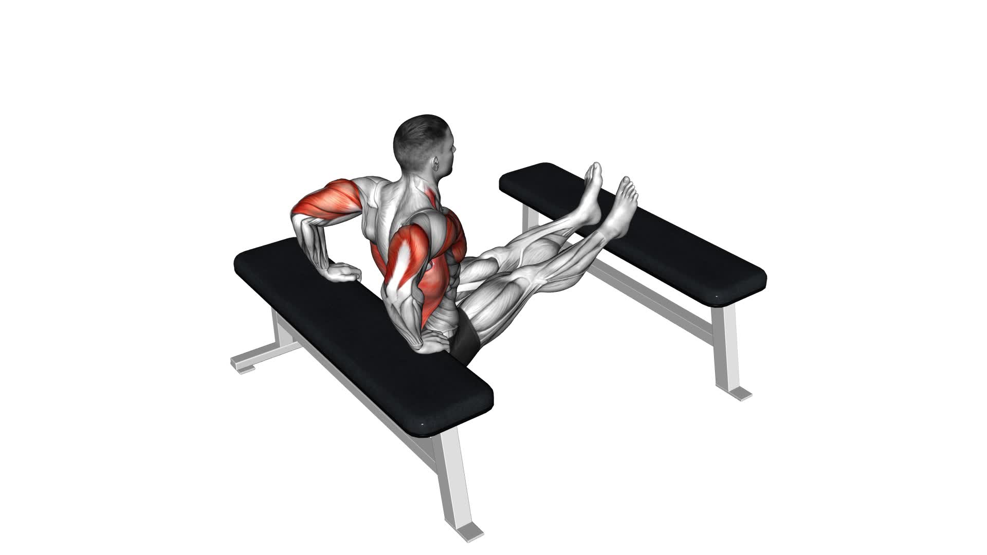 Triceps Dip (Bench Leg) - Video Exercise Guide & Tips