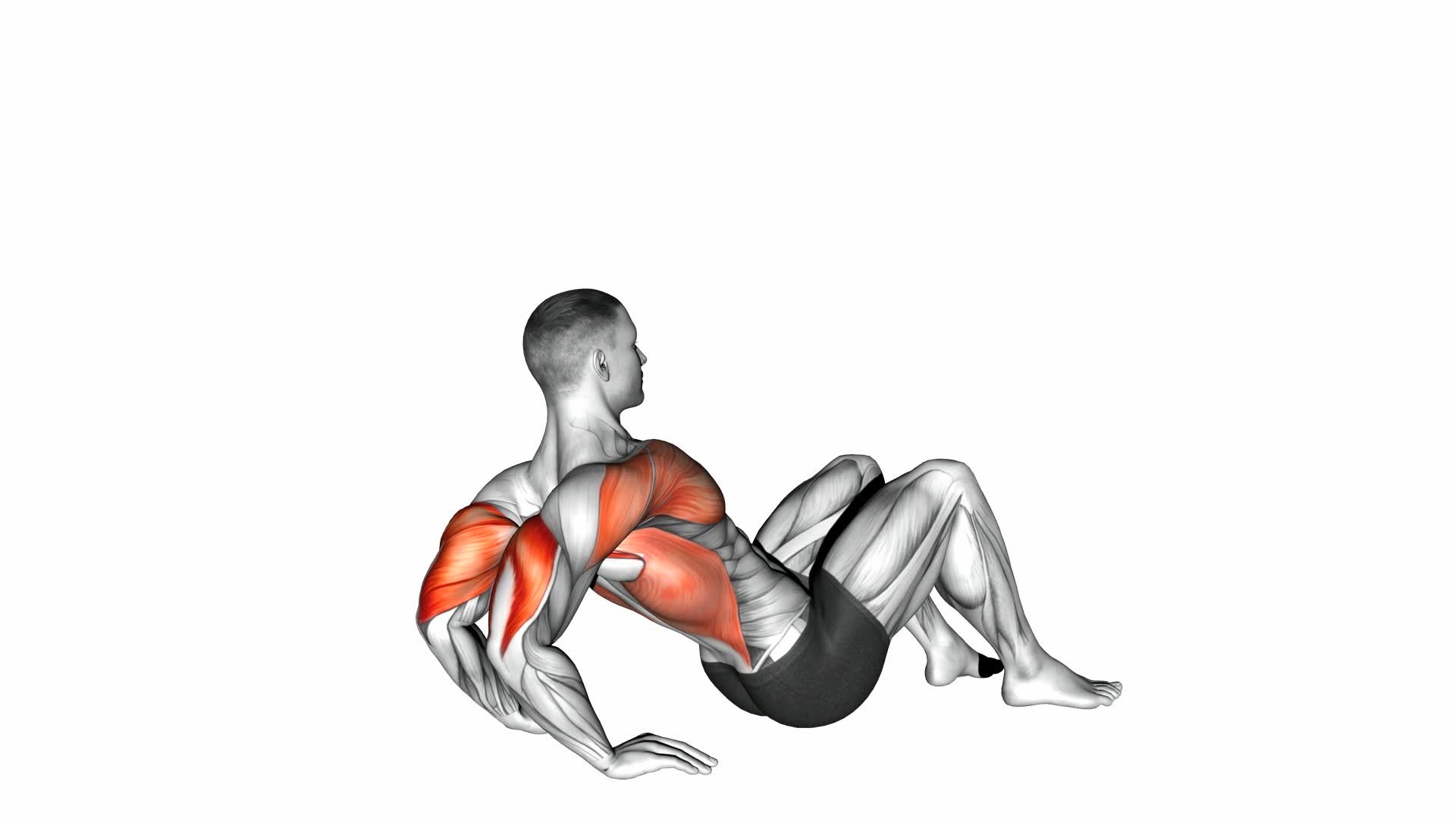 Triceps Dips Floor - Video Exercise Guide & Tips