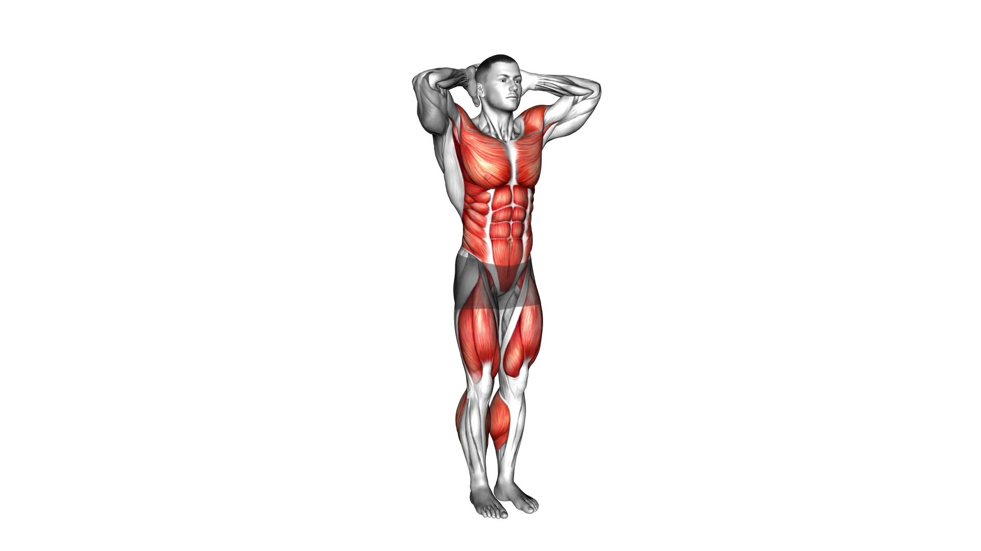 Twist and Leg Lift (male) - Video Exercise Guide & Tips