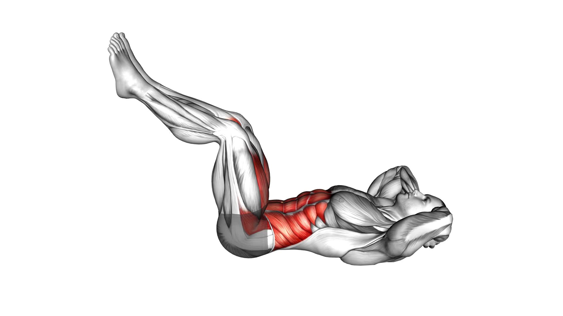 Twist Crunch (Legs-up) (male) - Video Exercise Guide & Tips