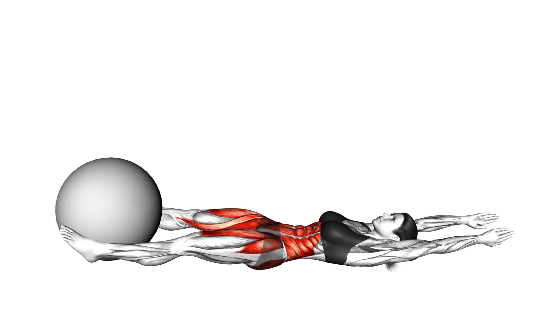 V-Up-Down (With Stability Ball) (Female) - Video Exercise Guide & Tips