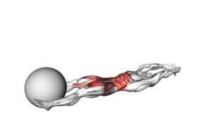 V-Up Down (With Stability Ball) - Video Exercise Guide & Tips