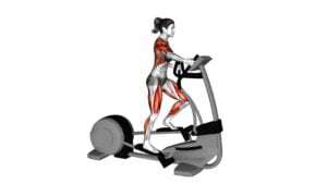 Walk Elliptical Cross Trainer (female) - Video Exercise Guide & Tips