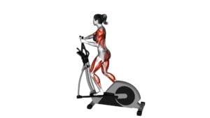 Walking on Elliptical Machine (VERSION 7) (female) - Video Exercise Guide & Tips