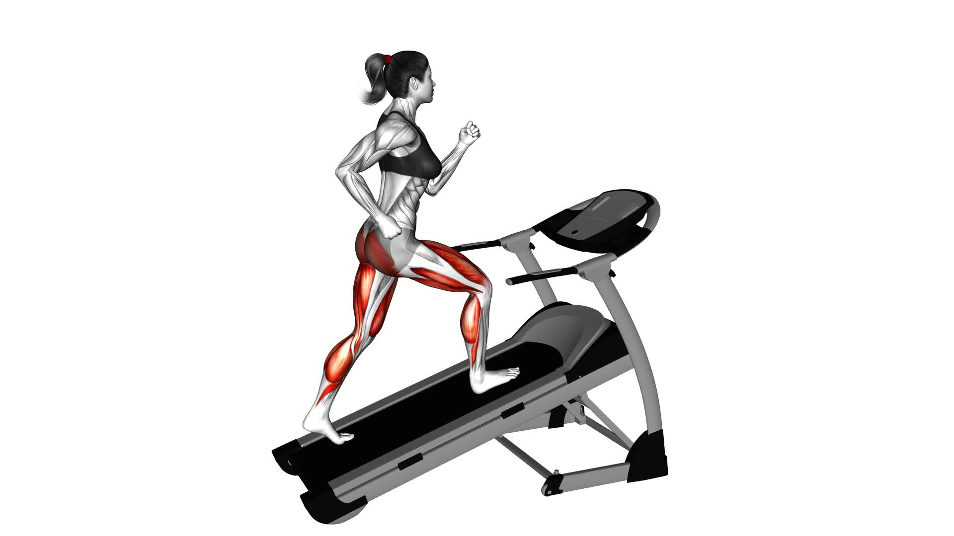 Walking on Incline Treadmill (female) - Video Exercise Guide & Tips