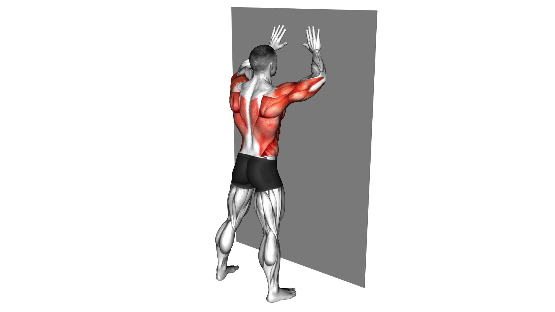 Wall Press and Twist (Male) - Video Exercise Guide & Tips