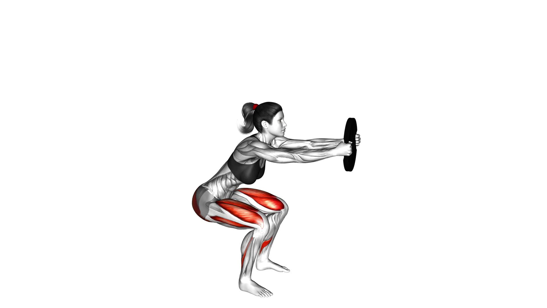 Weighted Counterbalanced Squat (female) - Video Exercise Guide & Tips