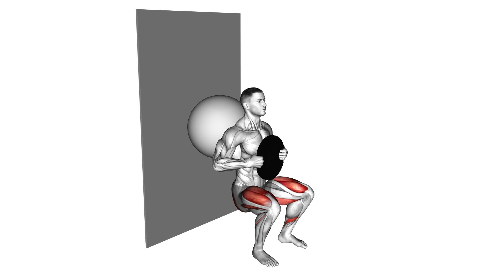 Weighted Exercise Ball Wall Squat - Video Exercise Guide & Tips