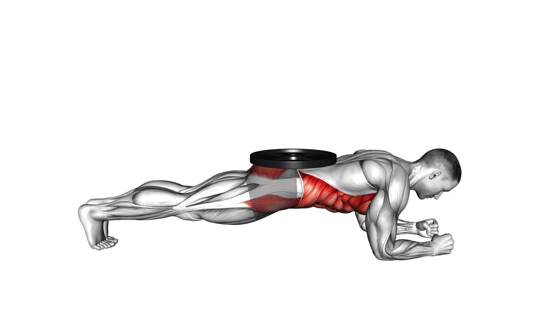 Weighted Front Plank - Video Exercise Guide & Tips