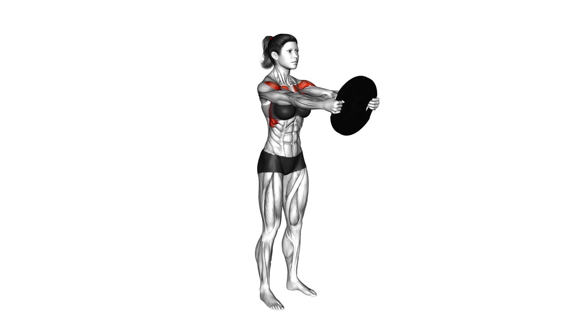 Weighted Front Raise (female) - Video Exercise Guide & Tips