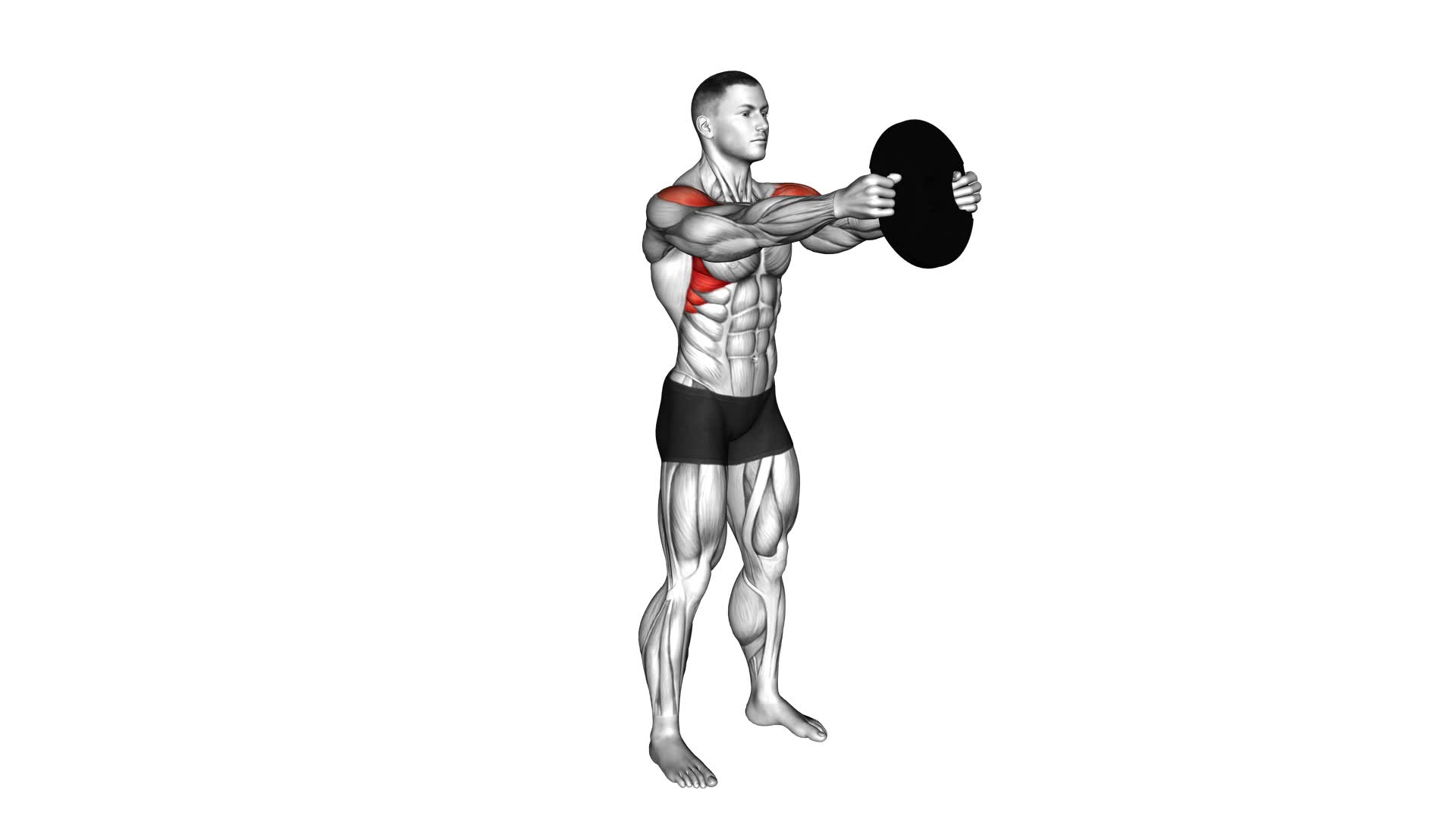 Weighted Front Raise Hold - Video Exercise Guide & Tips