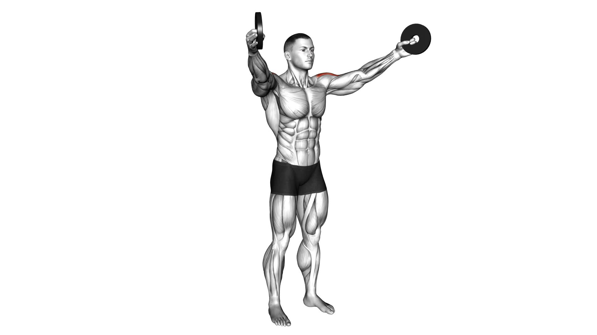 Weighted Full Can Exercise (male) - Video Exercise Guide & Tips