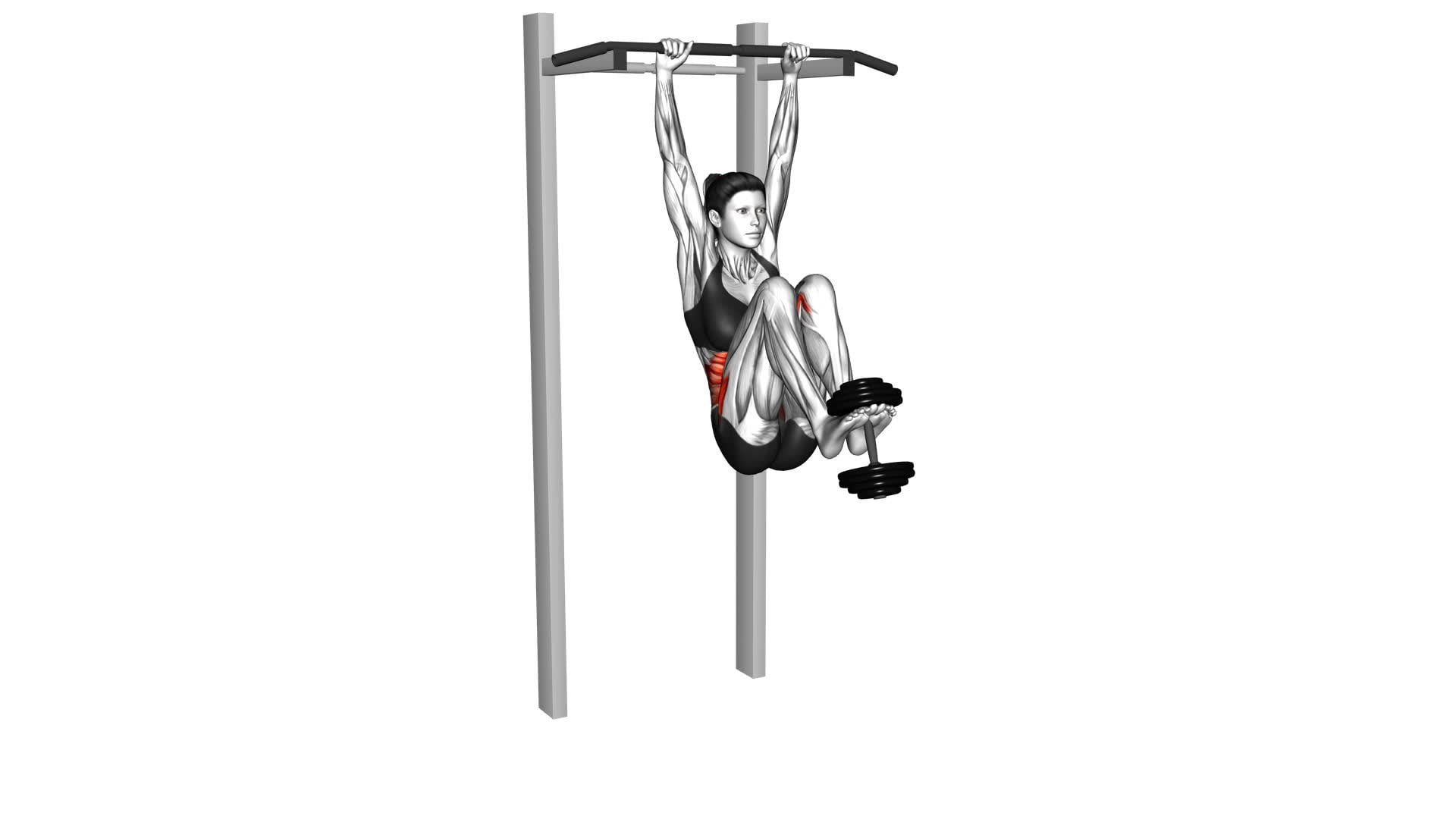 Weighted Hanging Leg Hip Raise (female) - Video Exercise Guide & Tips