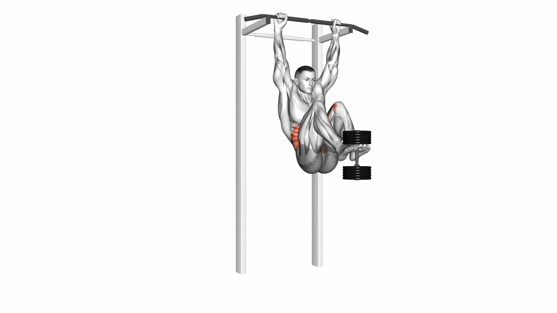 Weighted Hanging Leg Hip Raise - Video Exercise Guide & Tips