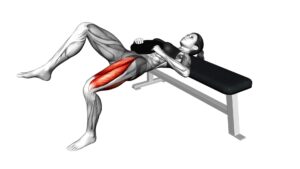 Weighted Hip Thrusts (female) - Video Exercise Guide & Tips