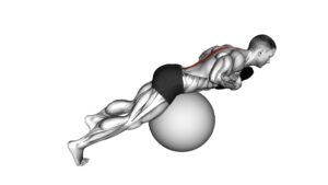 Weighted Hyperextension (On Stability Ball) - Video Exercise Guide & Tips