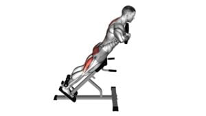 Weighted Hyperextension - Video Exercise Guide & Tips