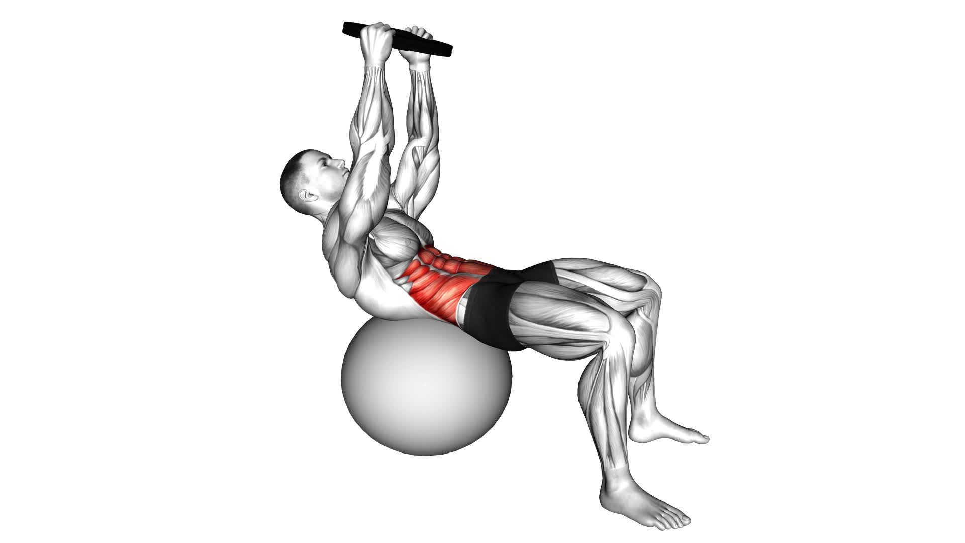 Weighted Overhead Crunch (On Stability Ball) - Video Exercise Guide & Tips