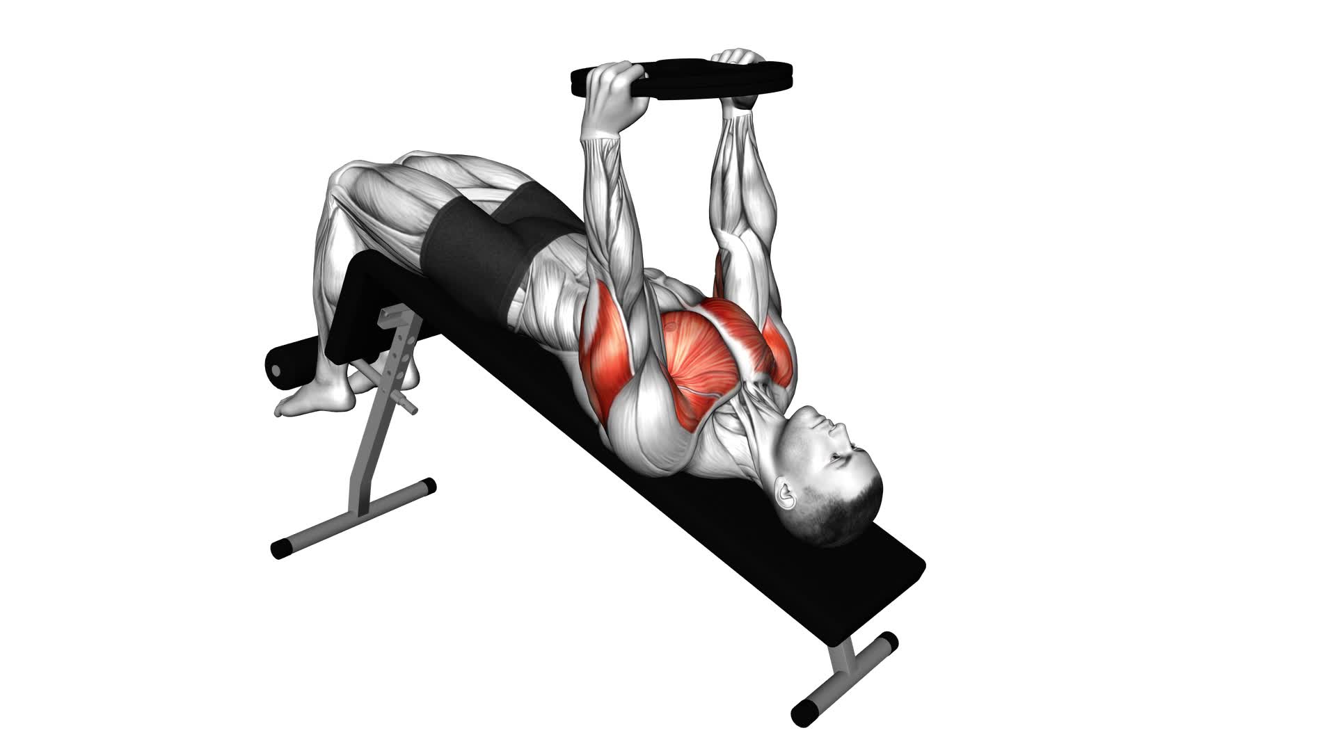 Weighted Plate Decline Chest Press (male) - Video Exercise Guide & Tips