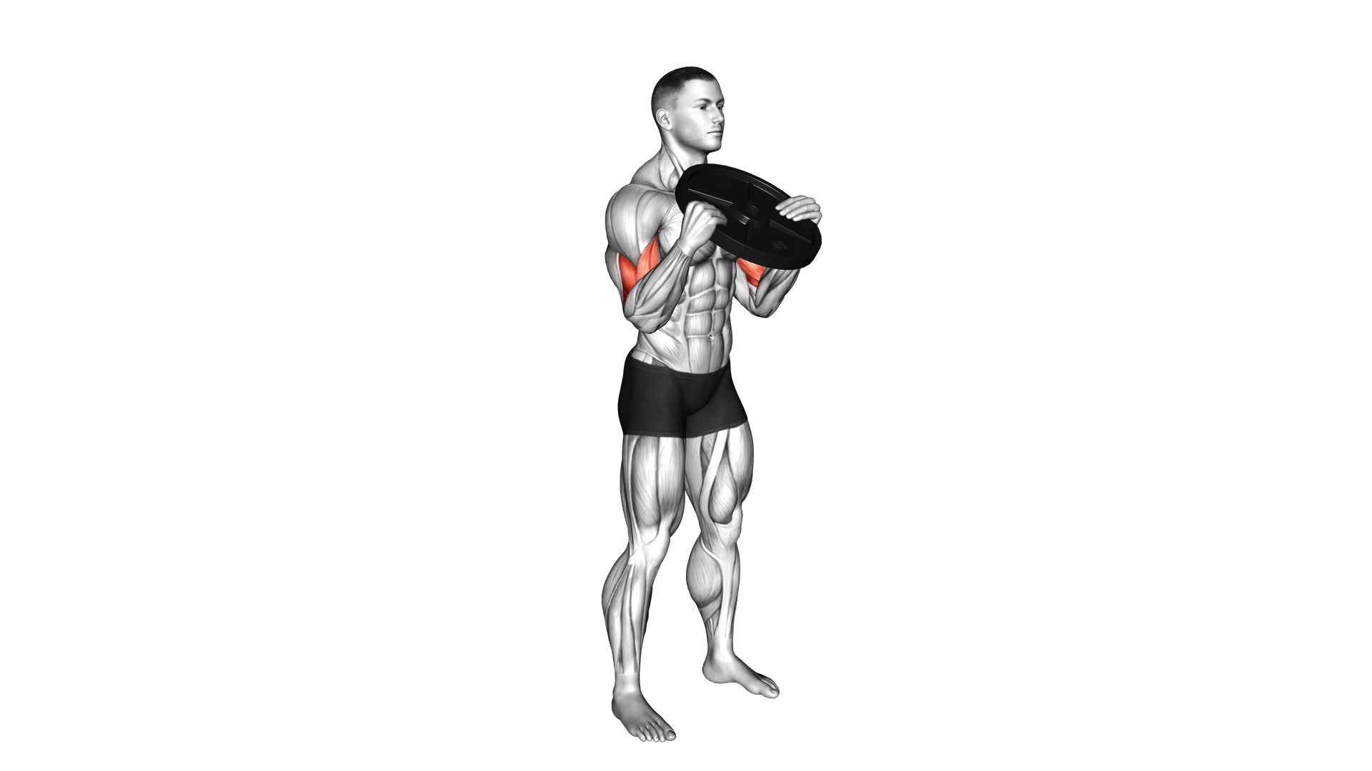 Weighted Plate Standing Biceps Curl (male) - Video Exercise Guide & Tips