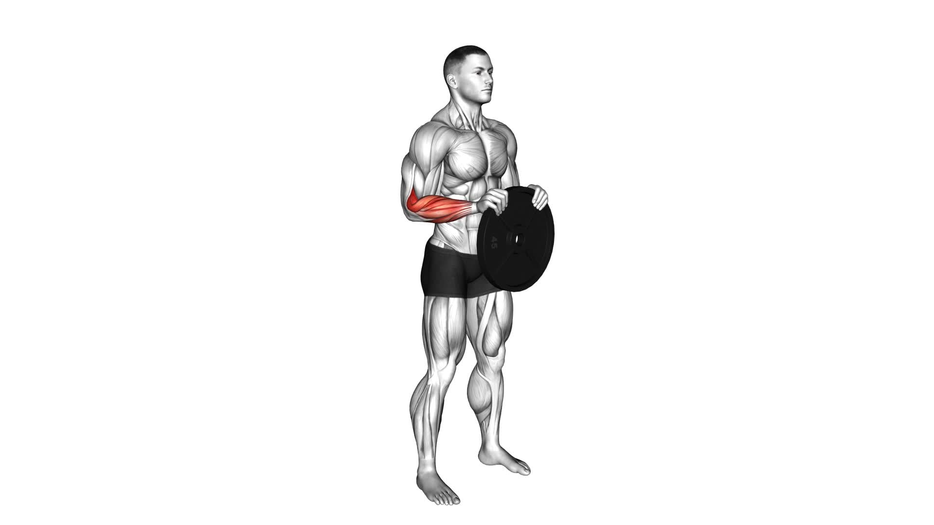 Weighted Plate Standing Hands Torsion (male) - Video Exercise Guide & Tips