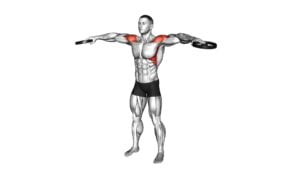 Weighted Plate Standing Lateral Raise (male) - Video Exercise Guide & Tips