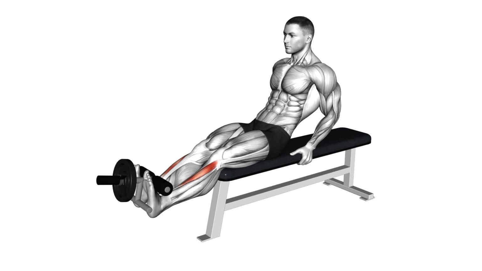 Tibialis Anterior Curl Video Guide And Tips For Male Weighted Plate Exercise