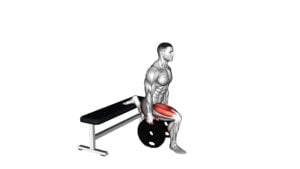 Weighted Plates Bulgarian Split Squat - Video Exercise Guide & Tips