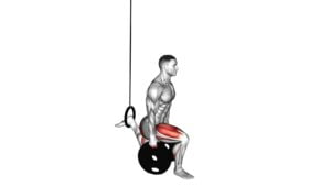 Weighted Plates Bulgarian Split Squat With the Ring - Video Exercise Guide & Tips