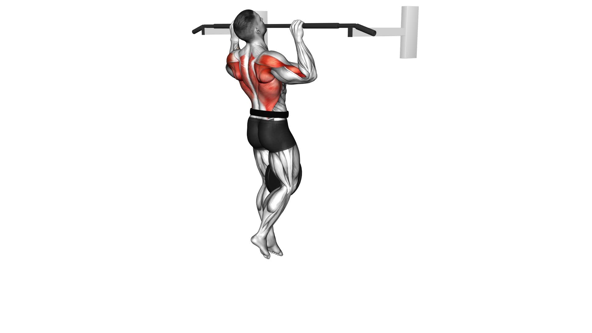Weighted Pull-up - Video Exercise Guide & Tips