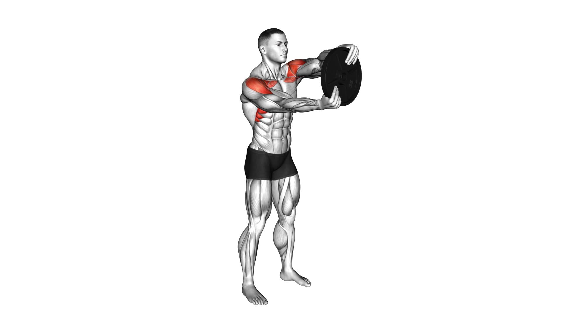 Weighted Round Arm - Video Exercise Guide & Tips