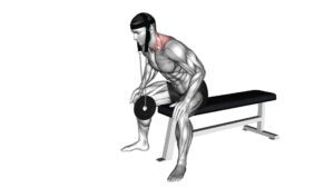 Weighted Seated Neck Extension (With Head Harness) - Video Exercise Guide & Tips