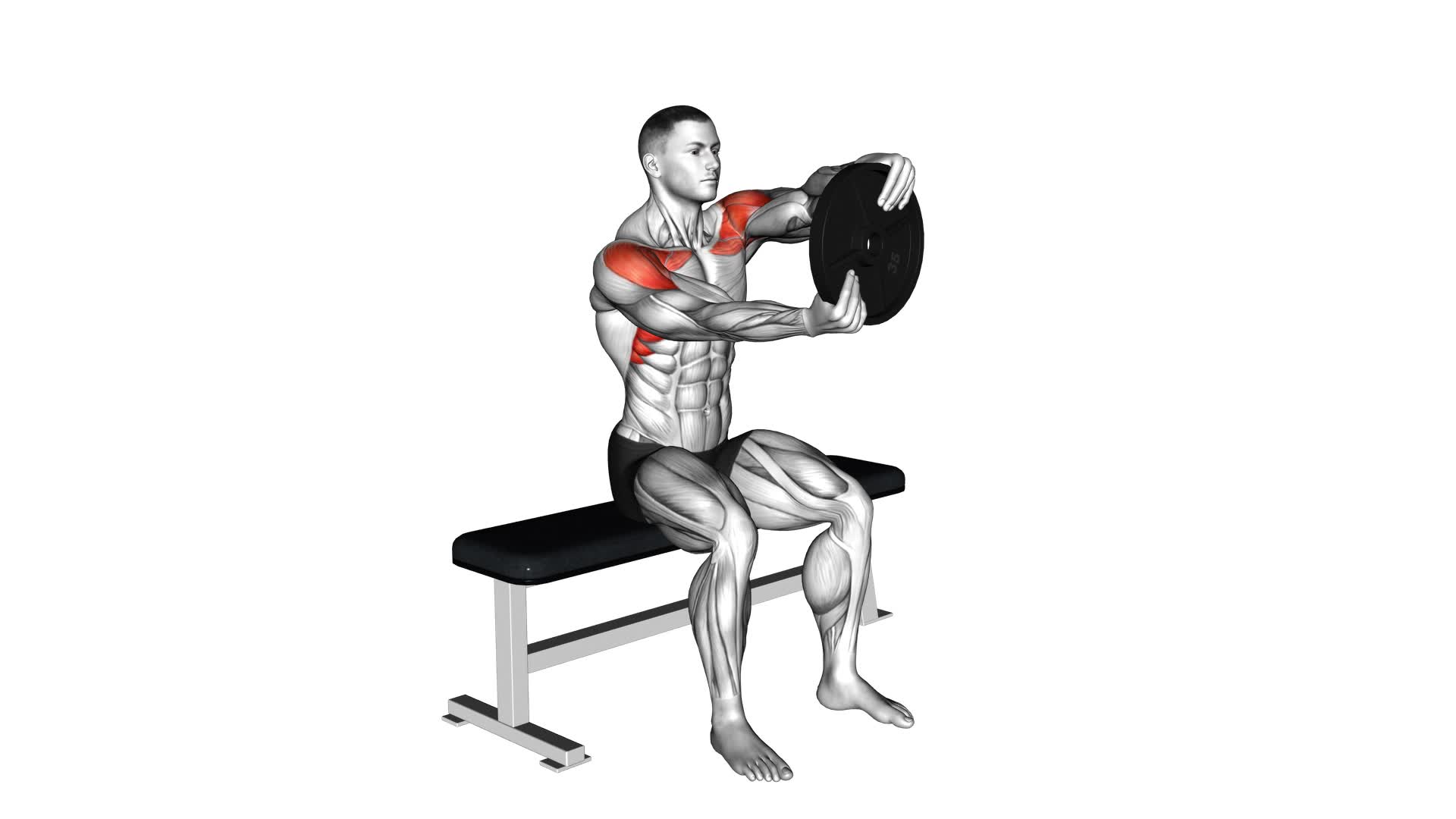 Weighted Seated Plate Driver (male) - Video Exercise Guide & Tips