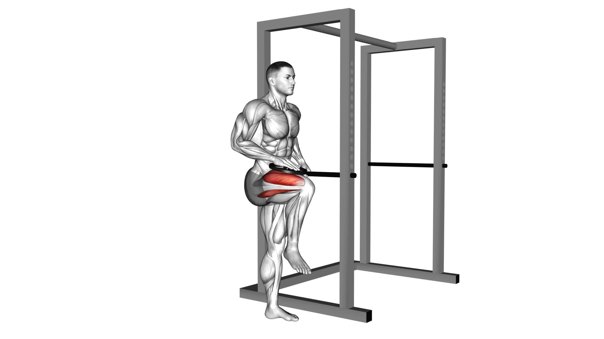 Weighted Single Leg Lift - Video Exercise Guide & Tips