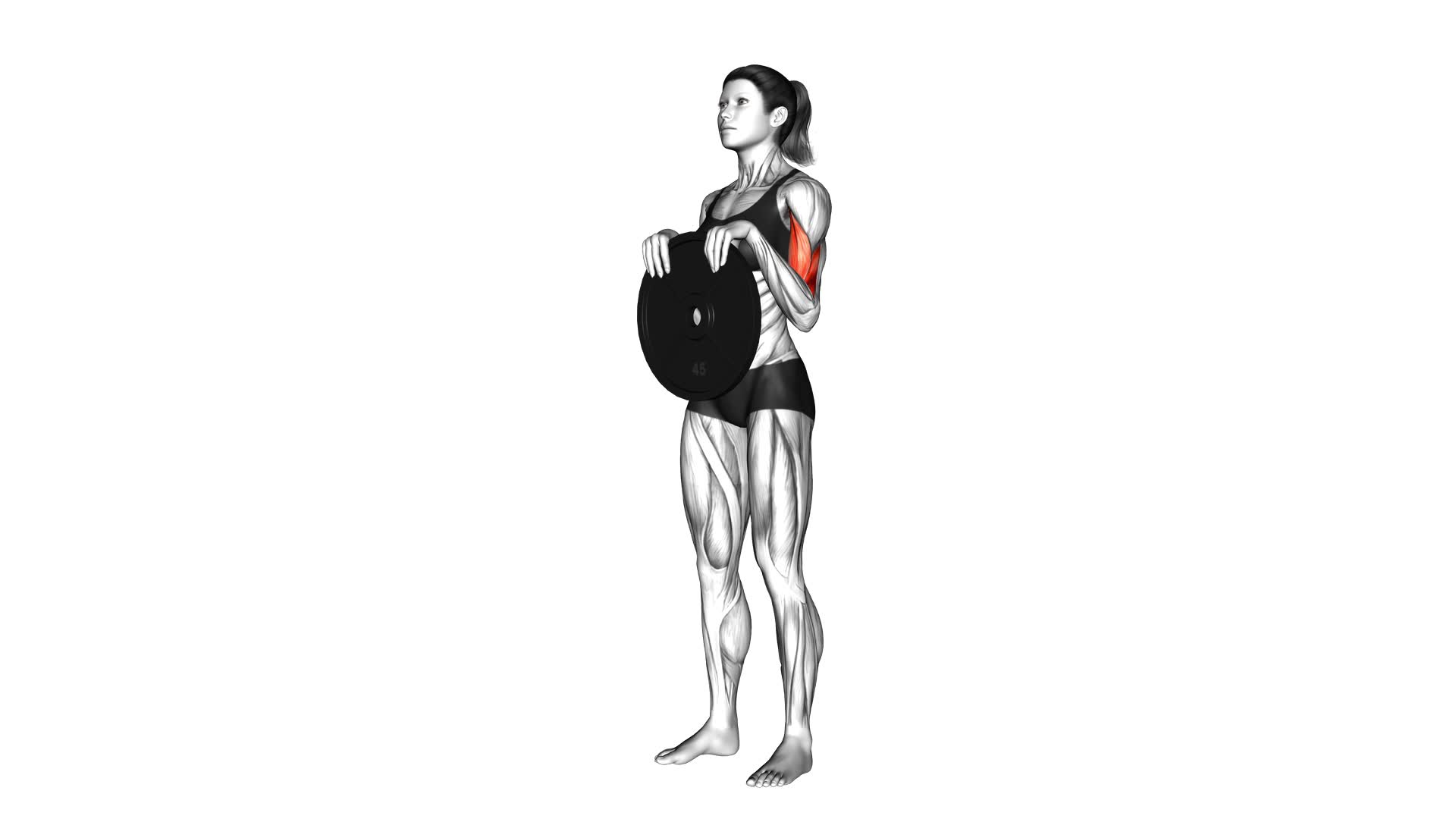 Weighted Standing Curl (female) - Video Exercise Guide & Tips