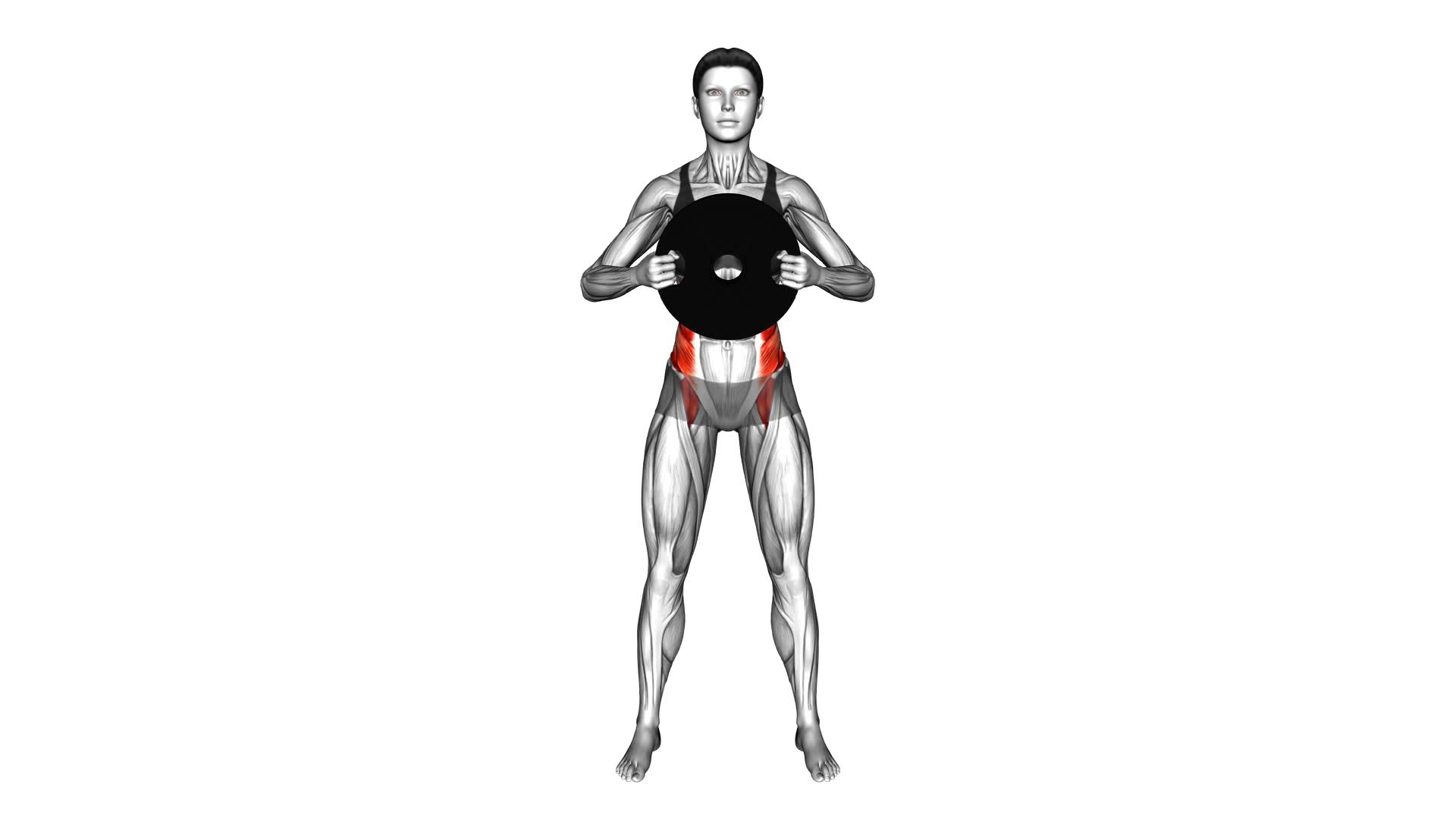 Weighted Standing Twist - Video Exercise Guide & Tips