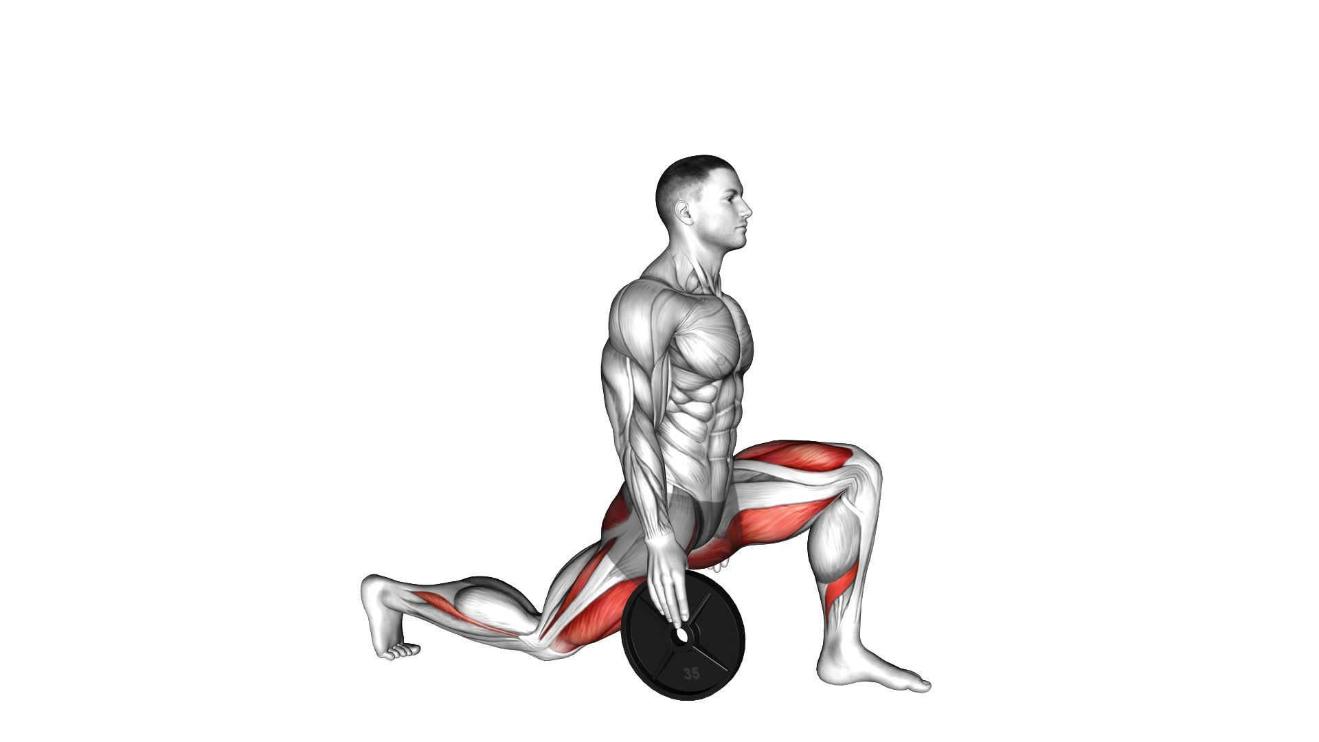 Weighted Stretch Lunge - Video Exercise Guide & Tips