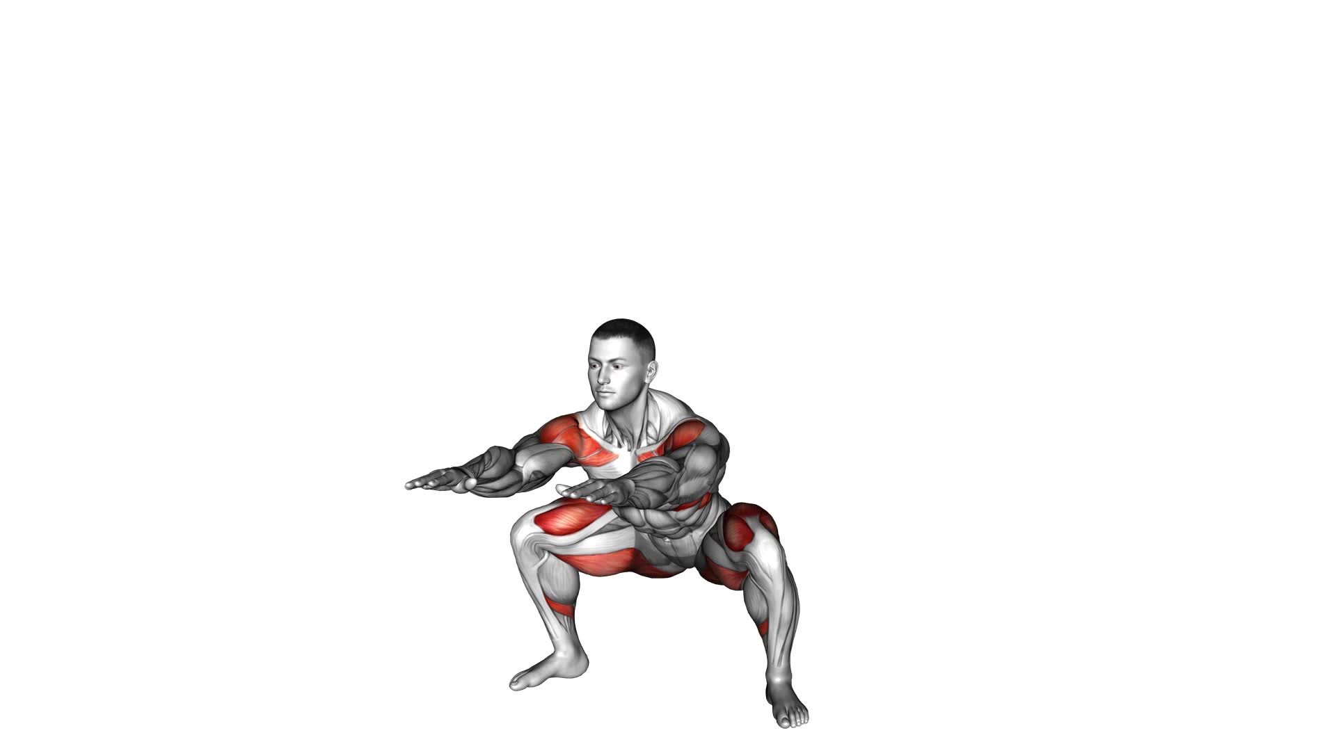 Wide Air Squat - Video Exercise Guide & Tips