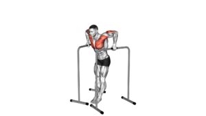Wide Grip Chest Dip on High Parallel Bars - Video Exercise Guide & Tips