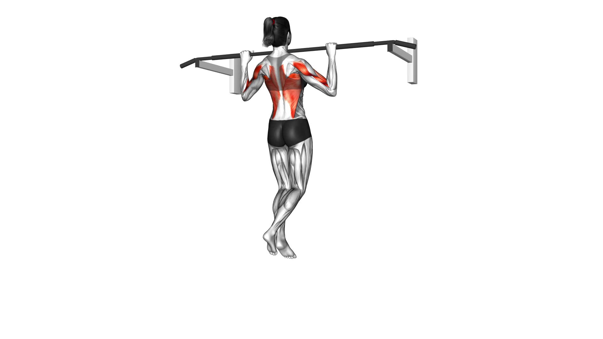 Wide-Grip Pull-Up (female) - Video Exercise Guide & Tips