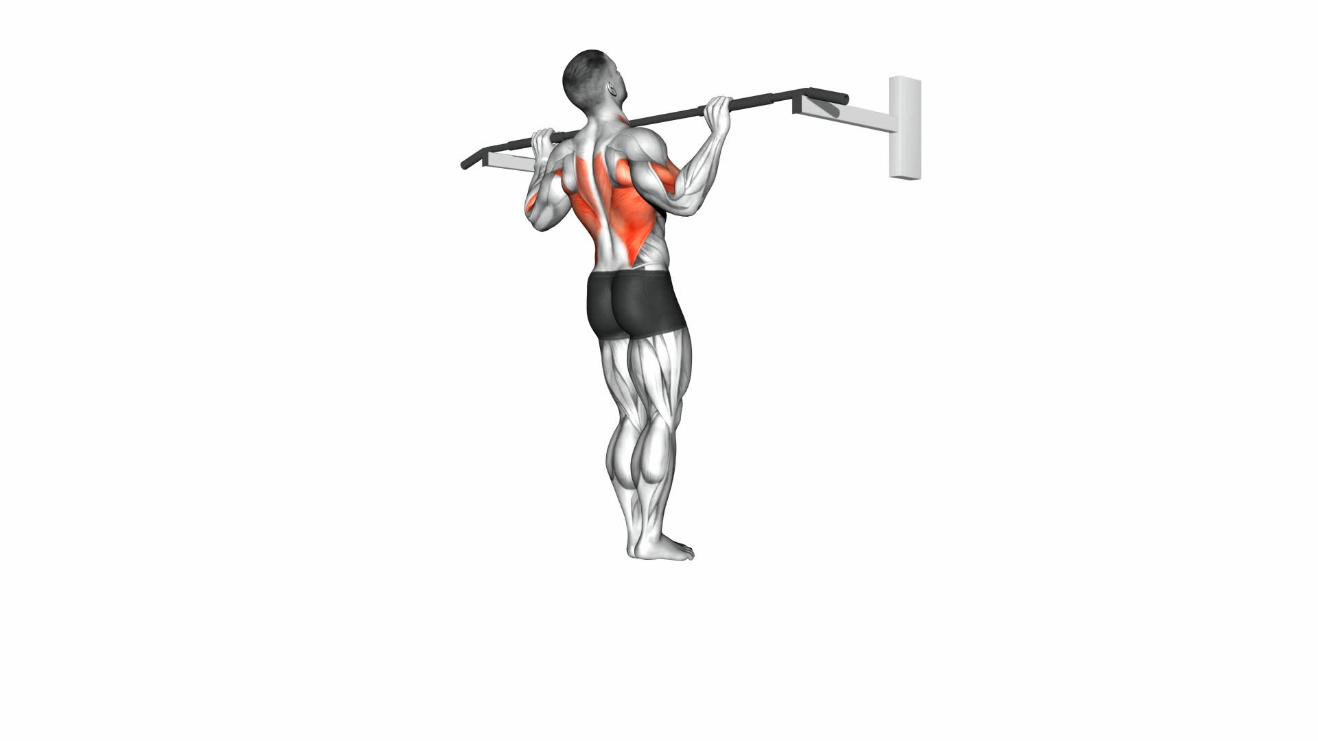 Wide-Grip Pull-Up - Video Exercise Guide & Tips