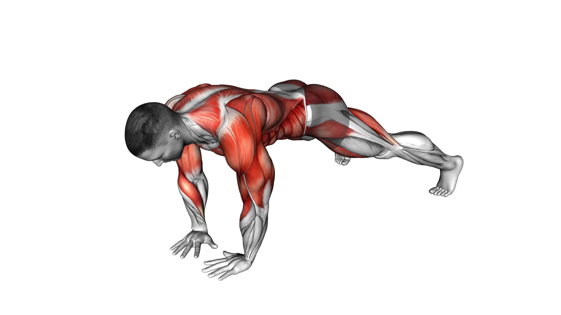 Wide Plank Side Tap: Ultimate Exercise Guide & Tips